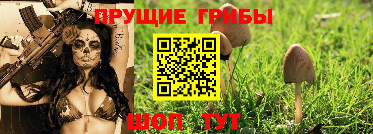Пыть-Ях  Галлюциногенные грибы прущие грибы  Псилоцибиновые грибы мицелий  Вход с VPN 