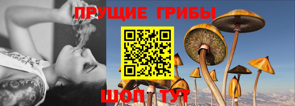 Псилоцибиновые грибы Magic Shrooms Пыть-Ях